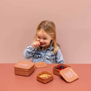 לויזון מרקט,סט 3 קופסאות אוכל- חתול,